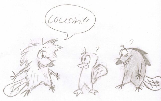 File:Cousin to the beaver, by AwsomeEmKay.jpg