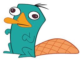 Ficheiro:Perry pose.jpg
