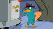 Olho de Perry Transparente (Erro).jpg