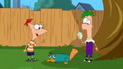 Perry Põe Um Ovo Imagem 35.jpg