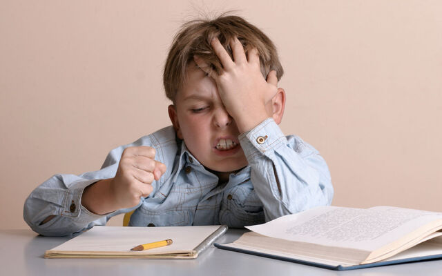 File:Homework.jpg