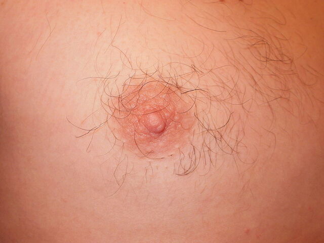 File:Human Nipple.jpg