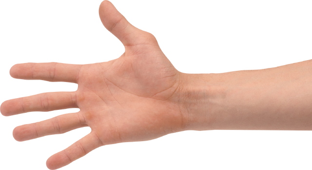 File:Hands.png