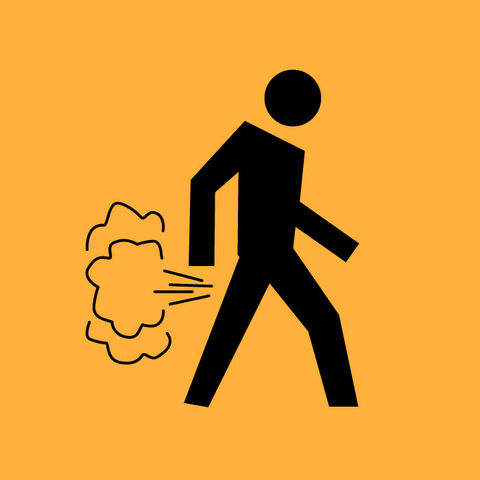 File:Farts.jpg