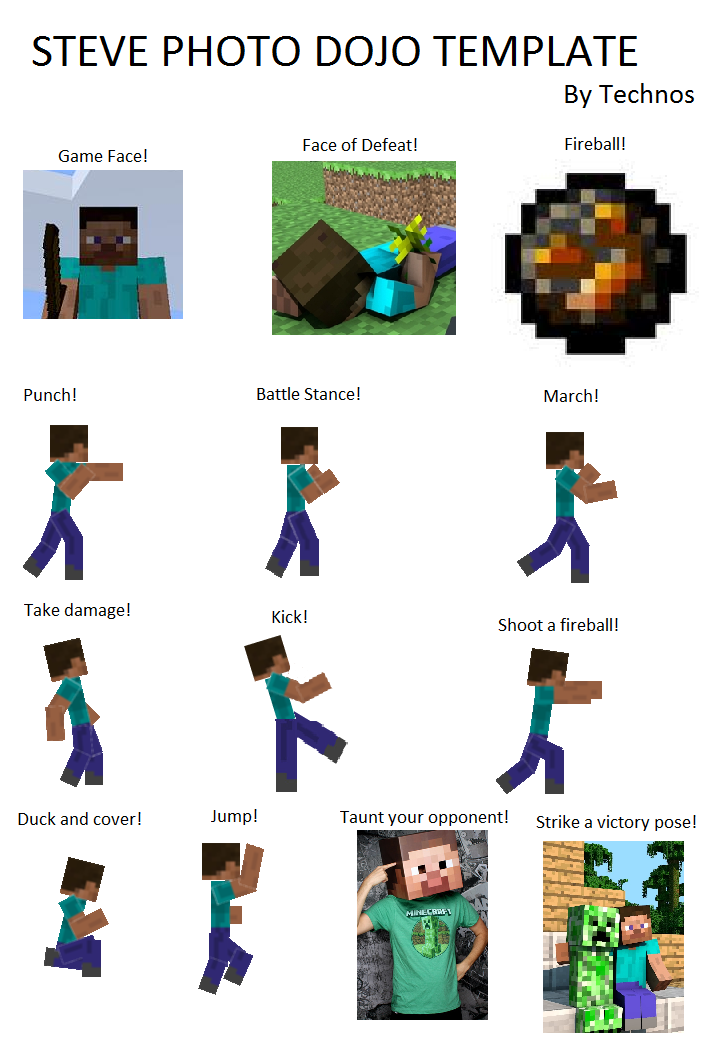 Steve Template Photo Dojo Wiki FANDOM powered by Wikia