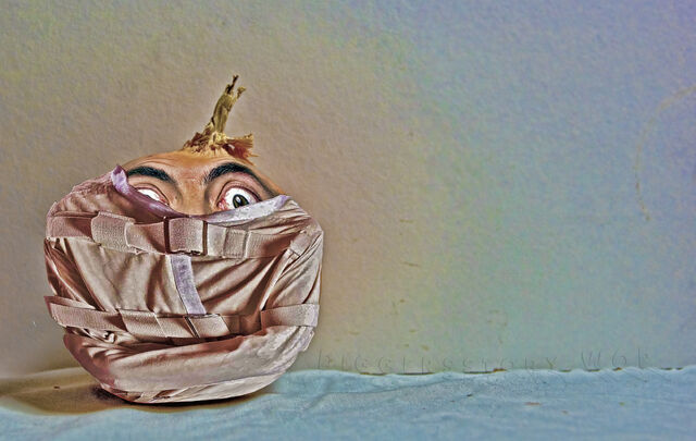 File:OnionMadness.jpg