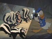 Wdt-donald-34.jpg