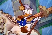 741274windowcleaners2.jpg