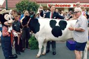 Minnie Moo.jpg