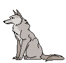 Wilk!!.gif