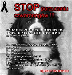 Plik:Downloadfile.jpeg