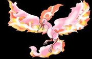 Shiny Moltres