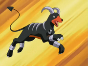 Karter's Houndoom