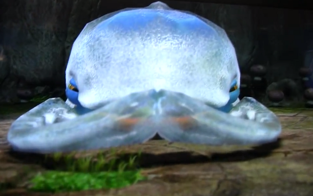 File:Mawdad head-on.png