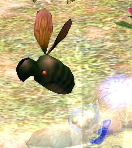 File:Shearwig fly.png