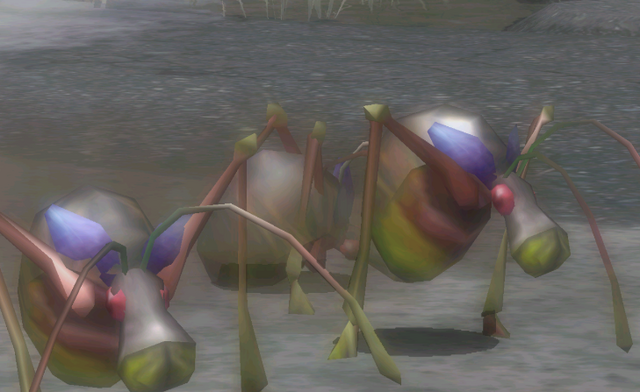 File:Antenna Beetle.png