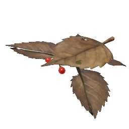File:Desiccated skitter leaf.png