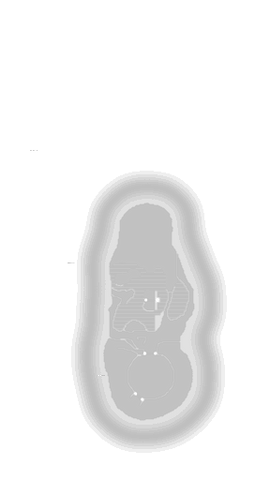 File:FT texture.png