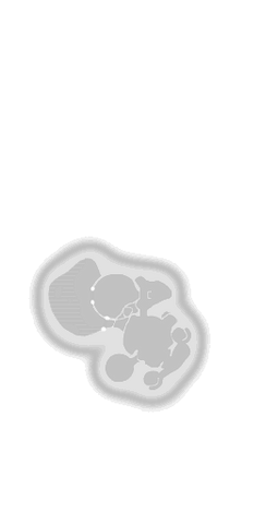 File:IS texture.png