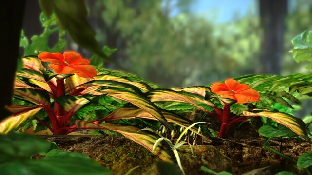File:Tropical Wilds Flowers.jpeg