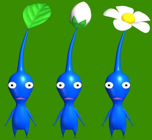 File:PikBluePikCyc.jpg
