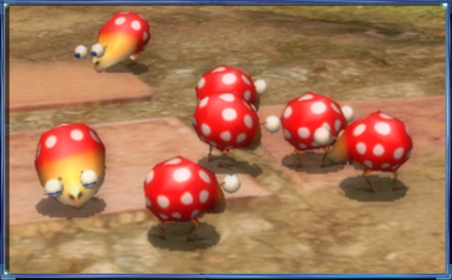 Datei:Roter zwerg-punktkäfer.png