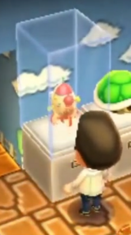 File:DolphinACNL.png