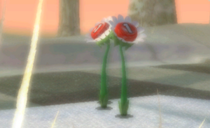 Knopfprimel.png
