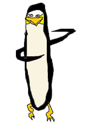 Cienki.png