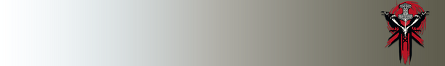 File:Viking banner1.png