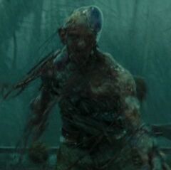 Meduza 2.jpg