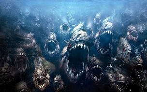 Piranha-3d