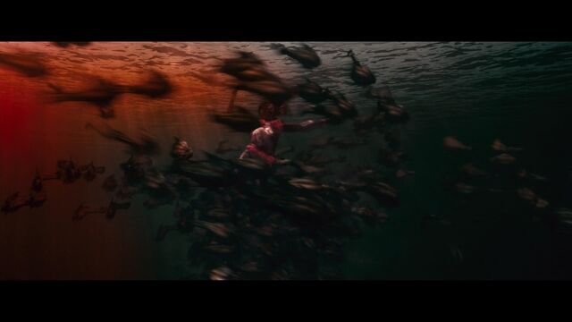 File:Piranha3D07.jpg