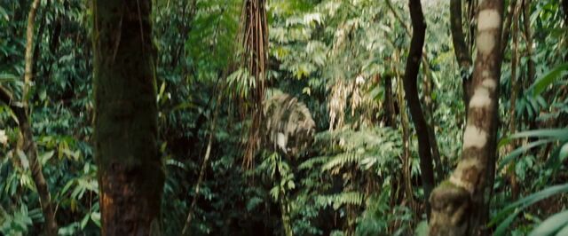 File:SixBecameFive2.jpg
