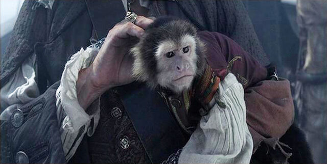 File:Jack monkey squint.jpg