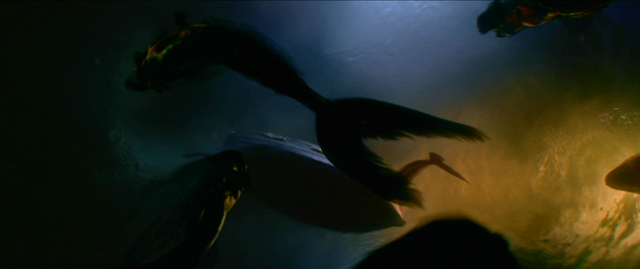 File:Mermaids Swimming OST.png