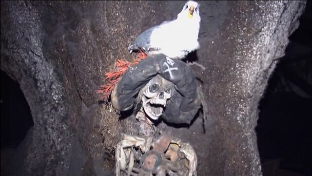 File:POTCRideSkeletonandSeagull.jpg