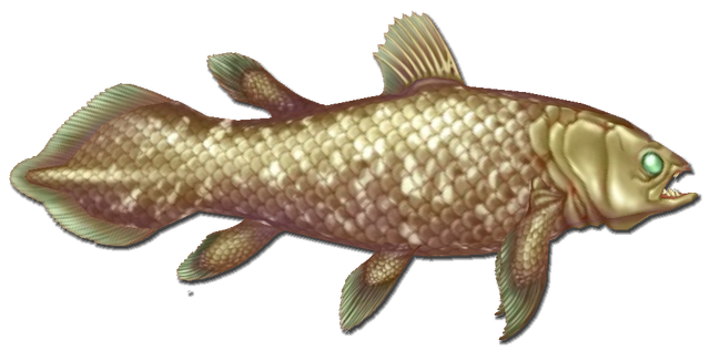 File:Fish 20.png