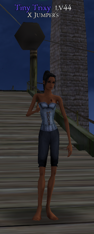 File:Potco-20091002-200159tt.png