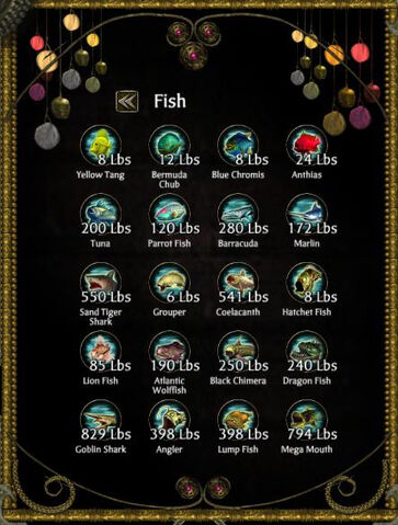 File:Fish Collection.jpg