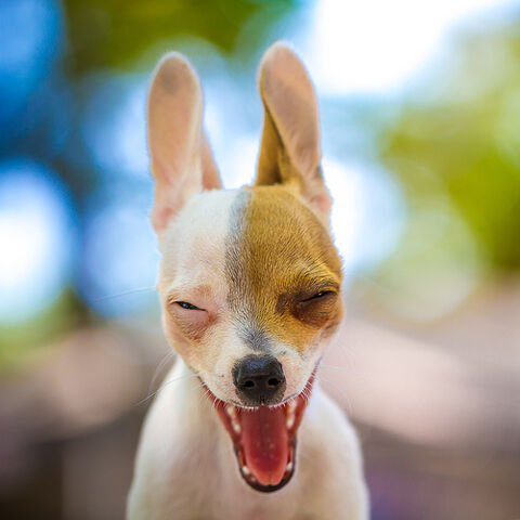 File:Wassup?.jpg