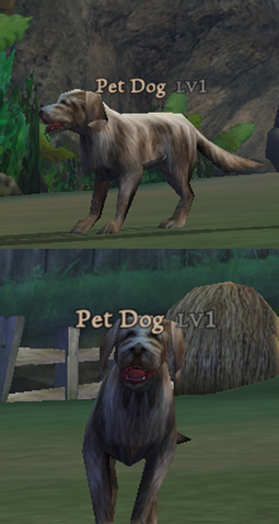 File:PetDog.png