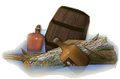 Thumbnail for version as of 21:43, November 22, 2010