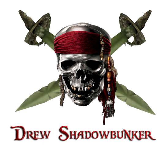 File:DS1.png