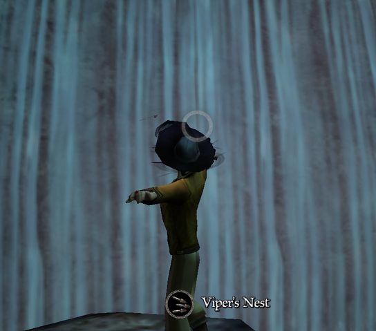 File:Player thing.png