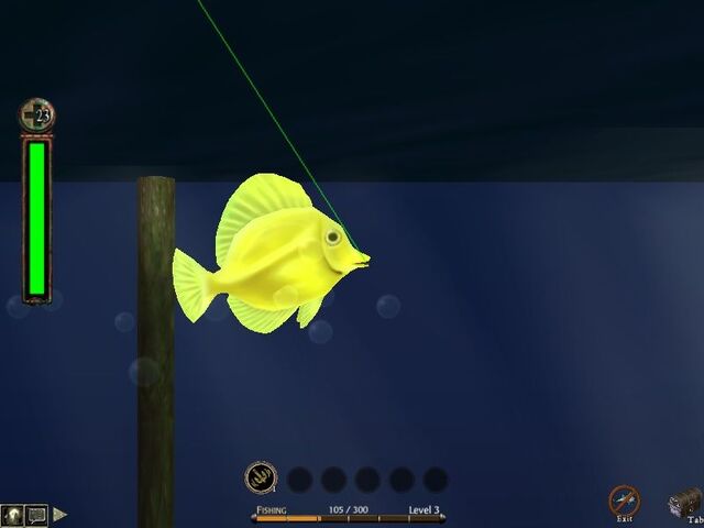 File:Fishinggame1.jpg