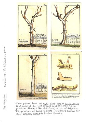 File:Image (22).jpg