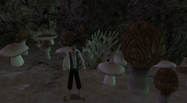 File:MushroomGarden.png