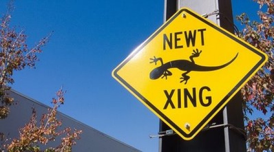 File:Newt sign.jpg