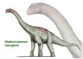 Thumbnail for version as of 04:30, December 23, 2011